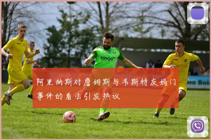 阿里纳斯对詹姆斯与韦斯特友妈门事件的看法引发热议