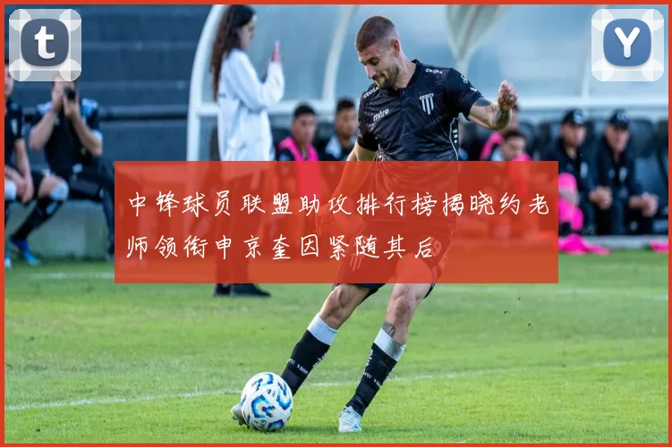 中锋球员联盟助攻排行榜揭晓约老师领衔申京奎因紧随其后